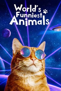 World's Funniest Animals: Season 2 poster image