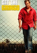 Get the Gringo poster image