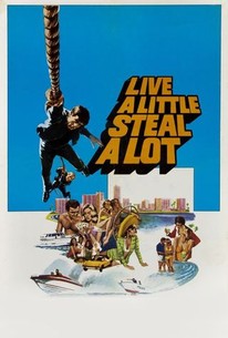 Poster for Live a Little, Steal a Lot