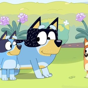 Bluey: Season 3, Episode 12 - Rotten Tomatoes