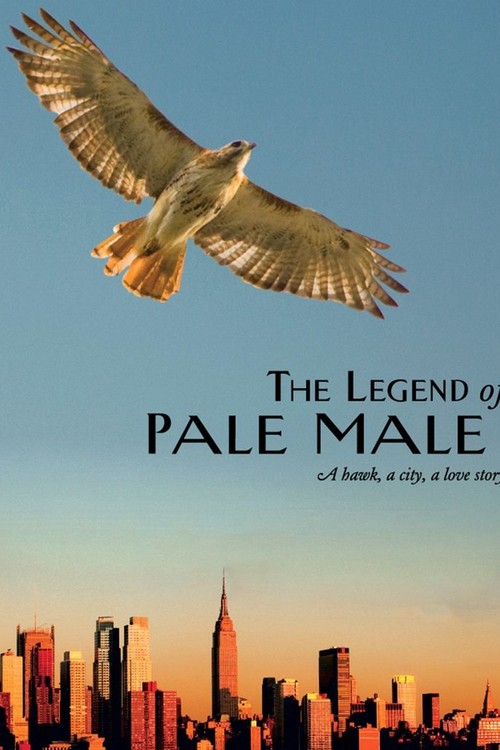 The Legend of Pale Male poster