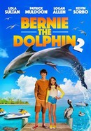 Bernie the Dolphin 2 poster image