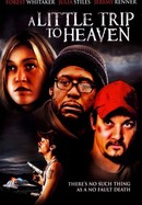 A Little Trip to Heaven poster image