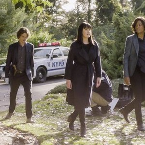 Criminal Minds - Season 13 Episode 12 - Rotten Tomatoes