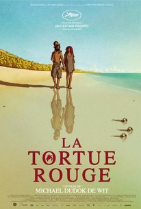 The Red Turtle (La tortue rouge)
