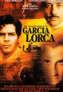 The Disappearance of Garcia Lorca poster image