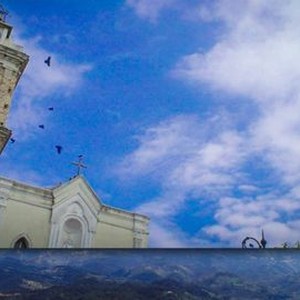 Maierato Rotten Tomatoes