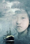 True North poster image