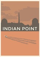Indian Point poster image