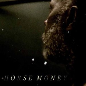 money moves horse