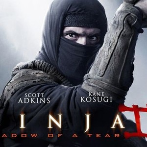 Shadow Runner Ninja, Part 2