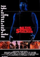 The Night Stalker poster image