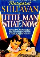 Little Man, What Now? poster image