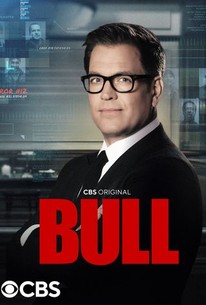 Bull poster image