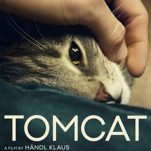 Tomcat (2016) photo 16