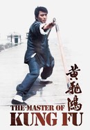 The Master of Kung Fu poster image