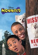 Hounded poster image