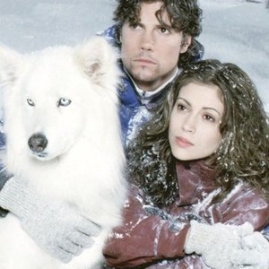 To Brave Alaska (1996) photo 2