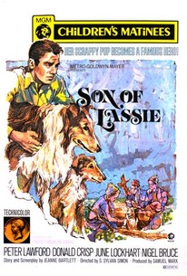 Watch trailer for Son of Lassie