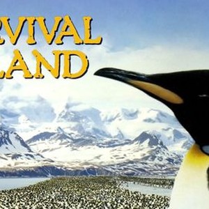 Survival island amazon clearance prime