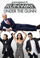 Project Runway: Under the Gunn poster image