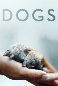 Dogs: Season 1 poster image