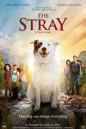 The Stray poster