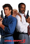 Lethal Weapon 3 poster image