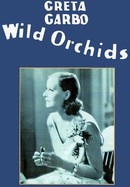Wild Orchids poster image