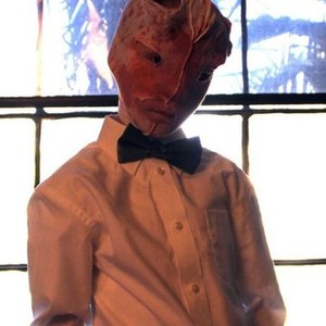Cut/Print (2011)