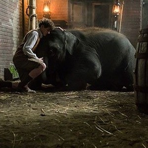 A scene from "Zoo." photo 2