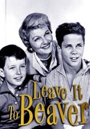 Leave It to Beaver poster image