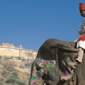 India: Kingdom of the Tiger (2002) photo 6