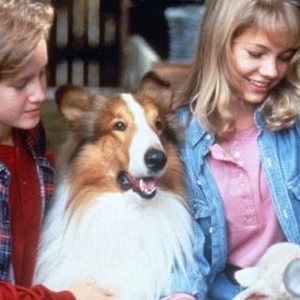 Lassie (1994) photo 8