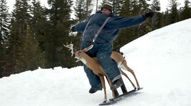 Jackass 3.5 | Rotten Tomatoes
