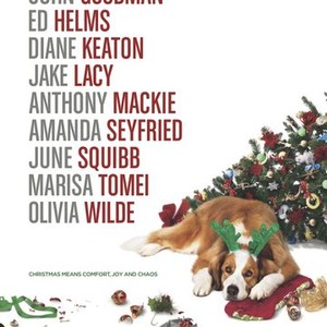 Love the Coopers (2015) photo 13