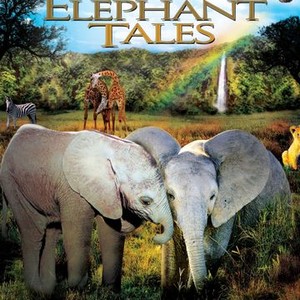 Elephant Tales (2006) photo 1