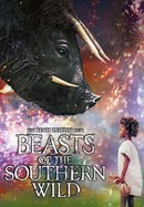 Beasts of the Southern Wild poster image