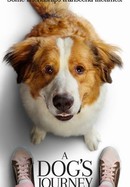 A Dog's Journey poster image