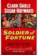 Soldier of Fortune poster image