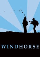 Windhorse poster image