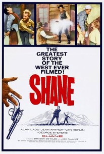 Shane poster
