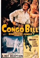 Congo Bill poster image