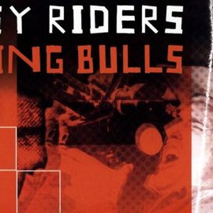 easy riders raging bulls book