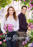 Love Blossoms poster image