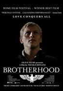 Brotherhood poster image