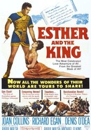 Esther and the King poster image