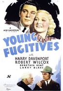 Young Fugitives poster image