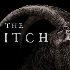 The Witch photo 15