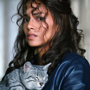 HALLE BERRY as Patience Philips in Warner Bros. Pictures' action adventure "Catwoman." photo 11